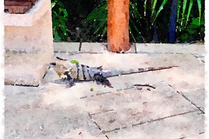 Ocean Riviera Paradise