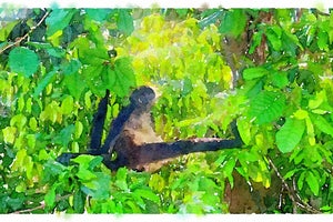 Ocean Riviera Paradise