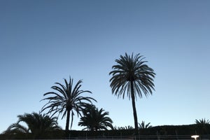 Abora Catarina by Lopesan Hotels