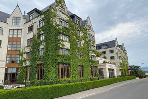 The Brehon