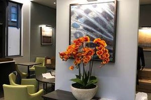 Best Western Plus Vauxhall Hotel