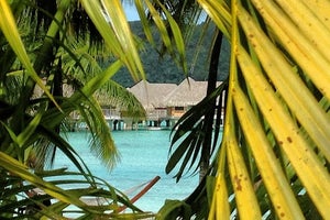 InterContinental Bora Bora Resort Thalasso Spa - Beach