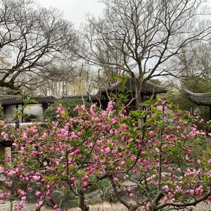 Couples Retreat Garden (??)