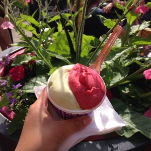 The 15 Best Places for Sorbet in Montreal