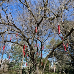 Jardin de Compans Caffarelli