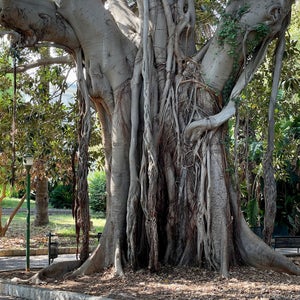 Giardino Inglese