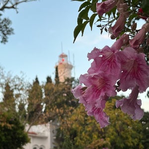 Faro de Colonia