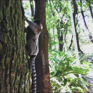 Parque Ecológico do Bairro Caiçara