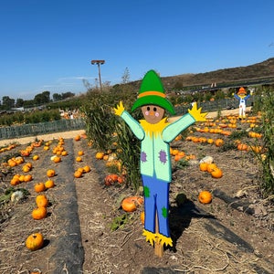 The 13 Best Places for Pumpkin in Irvine