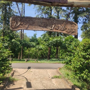 Bosque das Grevíleas