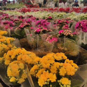 Garden Center