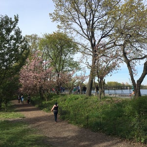 The 15 Best Places for Park in New York City