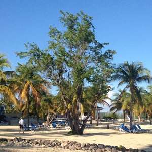 The Beach @ The RIU Hotel