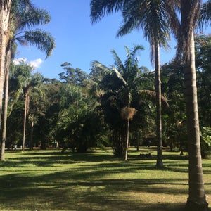 The 15 Best Places for Park in São Paulo