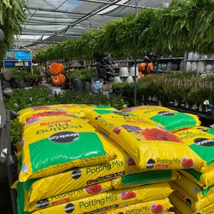 Lowes