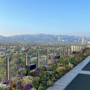 The 15 Best Places with Scenic Views in Beverly Hills