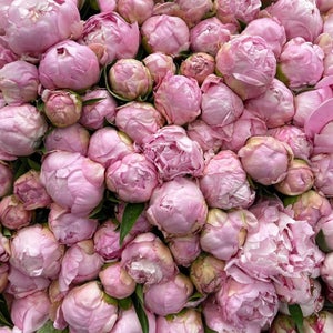 Bloemenmarkt