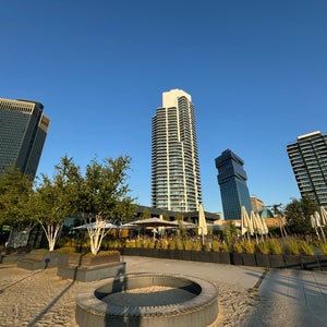 Skyline Garden