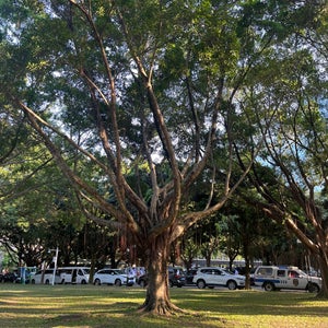 Lianhua Hill Park (??山??)