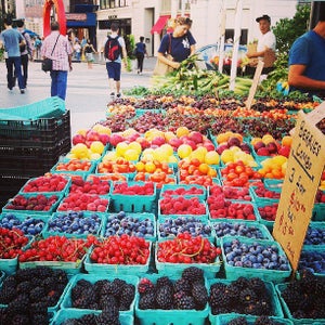 The 15 Best Places for Fresh Berries in New York City