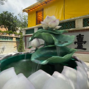 The Yuen Yuen Institute ????學?
