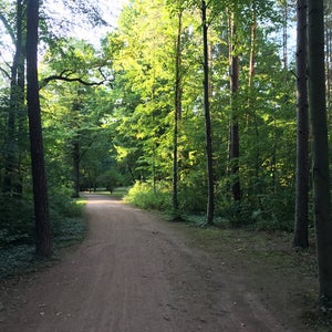 Blasewitzer Waldpark
