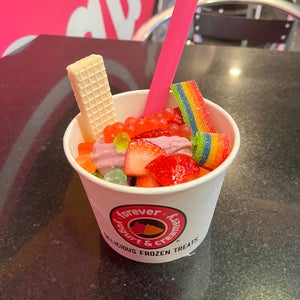 The 13 Best Places for Frozen Yogurt in Chicago