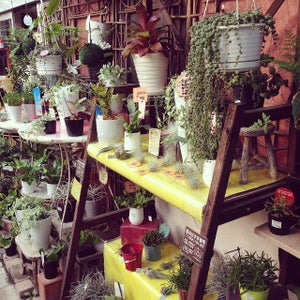 Lists Featuring フローラ黒田園芸