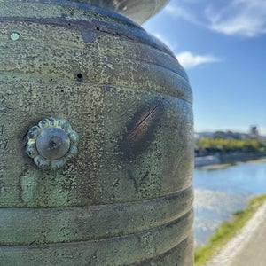 ?条大? ???跡