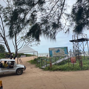 Praia De Burgalhau