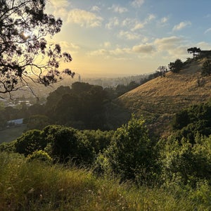 The 15 Best Places with Scenic Views in Berkeley
