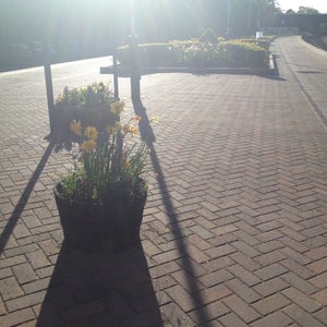 Poulton-le-Fylde Railway Station (PFY)