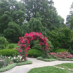 The 15 Best Places with Gardens in Cleveland