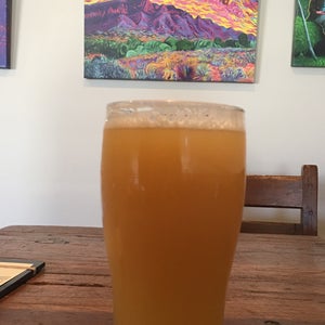 The 15 Best Places for Pale Ales in Albuquerque