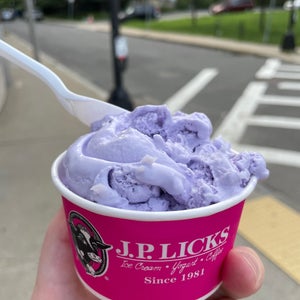 The 15 Best Ice Cream Parlors in Boston