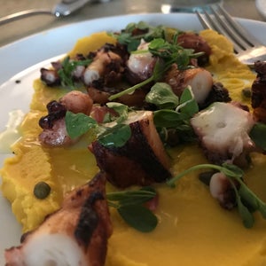 The 15 Best Places for Octopus in Washington