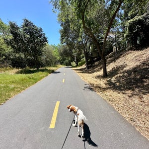 Los Gatos Creek Trail