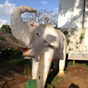 Morro do Elefante