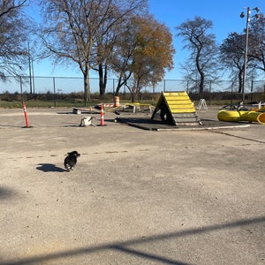 The 15 Best Places for Dog Park in Chicago