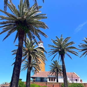 La Punta del Este