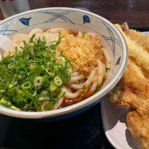 Marukame Udon