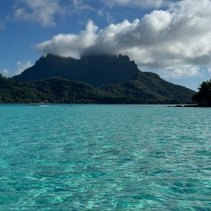 Coral Gardens, Bora Bora