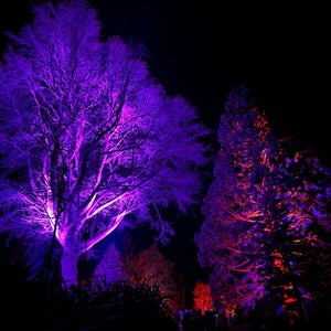 Queenstown Gardens