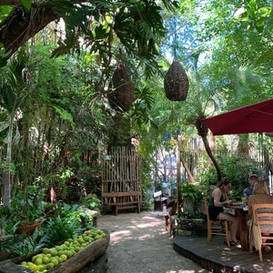 The 15 Best Places for Fruit in Playa Del Carmen