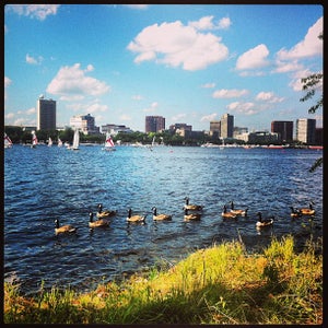 The 15 Best Places for Biking in Back Bay, Boston