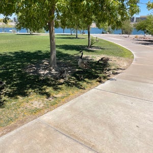 The 15 Best Places for Park in Henderson