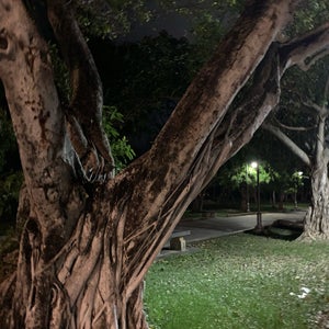 The 15 Best Places for Park in San Juan