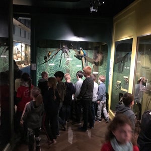Musée Zoologique