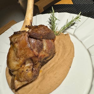 Evora Olive Hotel