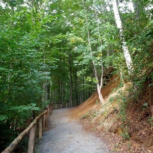Grafenberger Wald